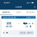 젤루조아