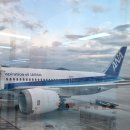 862 | 김포-하네다 NH862, NH867 탑승 기내식 후기(일반식, 해산물식)