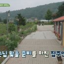 삼시세끼 라이트 첫방 이미지