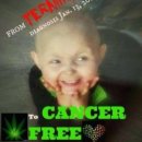 순진한가 이미지