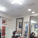 마를린헤어 이미지