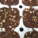 영복농장 이미지