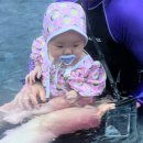 장군소프트 | 소노캄 경주 풀앤스파 7개월 아기와 이용 후기 (아기 동반 가능? 아기 풀앤스파 준비물 Tip)