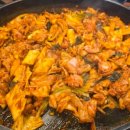 IBK기업은행 춘천 | 2024 IBK 기업은행배 화성시 전국 중고 배구 최강전 배구대회 개최 알림