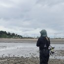 인천의 갯벌 이야기 | 인천 영흥도 노가리해변 낮해루질 후기 | 박하지·바다고동 잡은 갯벌 탐험기