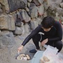 사지목나무그늘 이미지