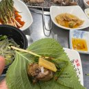 대왕곰장어 이미지