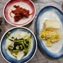 [강원/속초]내돈내산 속초 막국수 맛집 웨이팅이 엄청난 백촌막국수 후기