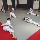 용인대석사청룡태권도 이미지