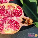 비너스여성외과의원 이미지