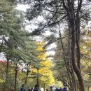 11월 정기도보, 한강걷기 19차 고양대덕생태공원, 행주산성역사공원 (後記) 이미지