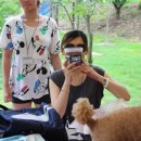 달려라 해피 이미지