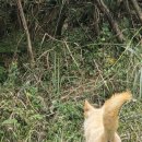 백아농장 이미지