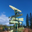 동상농장 이미지