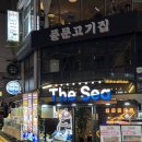 THE SEA(더씨)민박 | 통통한 대하+신선한 고등어회🍤🍺 | 합정 더씨(The Sea) 내돈내산 솔직후기