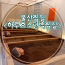 하루효소편백 이미지