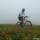 산업목장 이미지