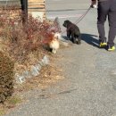 서춘천농협 하나로마트 신매점 | 강원도 춘천 1박 2일 여행 / 육림닭강정, 하나로마트, 서상스테이, 토담숯불닭갈비, 감자밭 카페 / 서울...