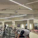 리라핏 거모점 이미지