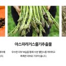 인셀덤고운