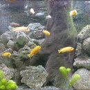 부산마을회관 이미지