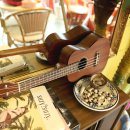 맑은 소리 우쿨렐레 이미지