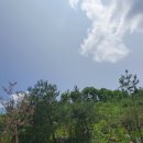 홍천썬호텔&펜션 이미지