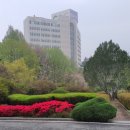 솔파인 레스토랑 이미지