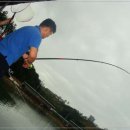 어심바다낚시터 이미지