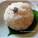 서초버드나무집 이미지