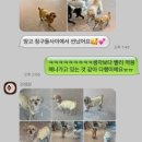견생원 이미지