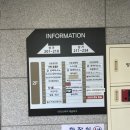 아아마시고 | 마곡나루 카페 픽트로스터리에서 플로럴향 산미 아아 마시고 온 후기♥️ 피스타치오 티라미수 🎂☕️