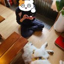 순애커피