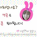 강릉커피콩빵 강릉당중앙시장점