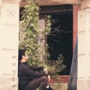 동네기획사 이미지