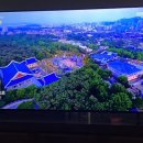 이춘봉인생치킨 (수완점) 이미지