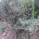 서1동 경로당 이미지