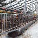 정수축산 이미지