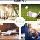 수원-1833 이미지