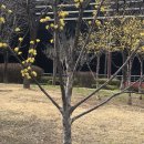 웰빙프라자약국 이미지