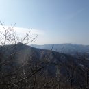 강따라산따라 티스토리