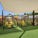 김포 애견호텔 애견유치원 꼬똥이네 이미지