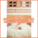 키즈쿡 요리동화 | 제주도 더 시에나 프리모 : 프리즘 특가로 다녀온 키즈 벙커룸(핑크)&amp;온수풀 호캉스 솔직 후기