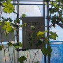 샤인하우스 이미지