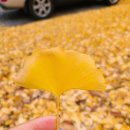 용강점 현대자동차 이미지