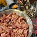 옥길동 갈매기 이미지