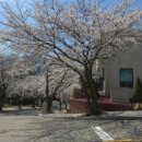 공주스크린골프 이미지