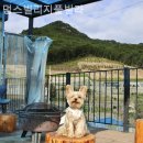 멍스빌리지풀빌라1 네이버블로그