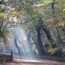 상림관광안내소 이미지