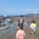 삼양해수욕장 이미지